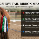 horse show tail ribbon color meanings